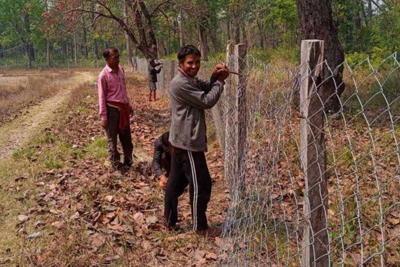 मानव–वन्यजन्तु द्वन्द्व न्यूनीकरणका लागि मेसवायर जाली राख्ने कार्य सुरु